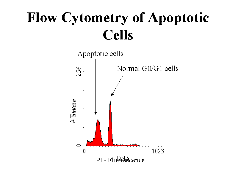 cytoscape pathway flux cytoscape pathway flux