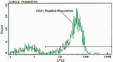 cd31-LF Histogram