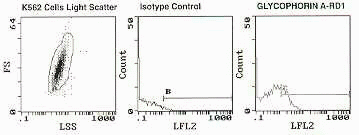 Glyco- Example