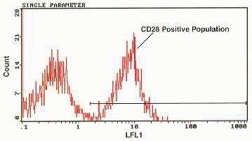 cd28- Single Parameter FITC