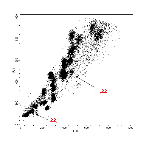 chromosome analysis and sorting