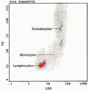 cd31-LS Histogram