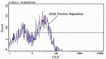 cd95-LF Histogram