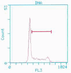 PCNA - Single Parameter