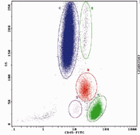 SYSTEM II Software histogram