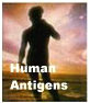 Cytometry Human Antigens