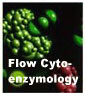 Cytometry Flow Cytoenzymology