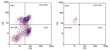 Graph Showing Purity