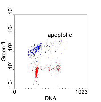 Image27.gif