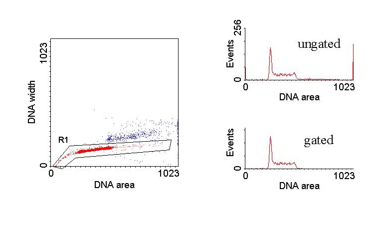 Figure_6-5.JPG