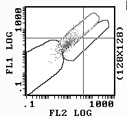 GRAM.JPG