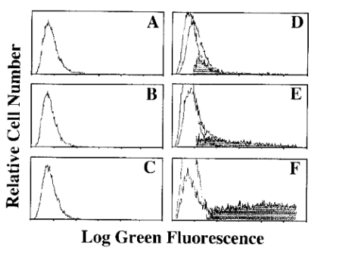 Slow sperm flow casually Congratulate, your slow sperm flow