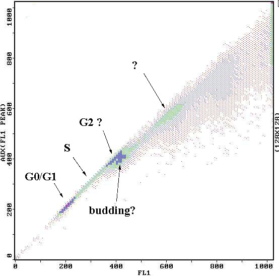 histogram.jpg