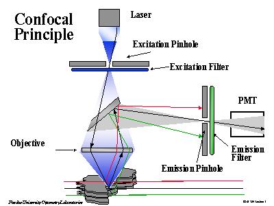 confocal principle