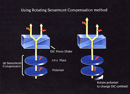 The Senarmont method