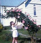 naomiatst.marksanglicanchashford1971withoneofdadrosebushes.jpg