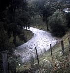 photo3of3quirindiwallofwaterdownmountainnsw1971.jpg