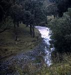 watchedfloodroadrdownmtnearquirindi19711of3photosinsequence.jpg